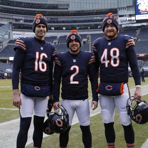 Bears Specialists